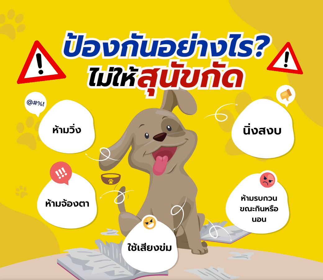 ไทย.png